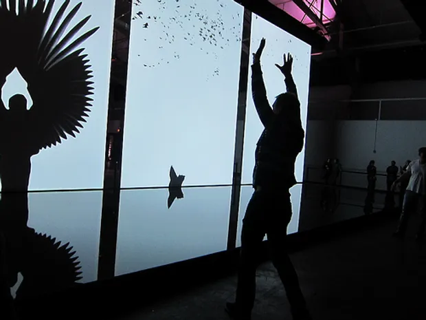 A person with their hands up in front of screens showing them with wings.